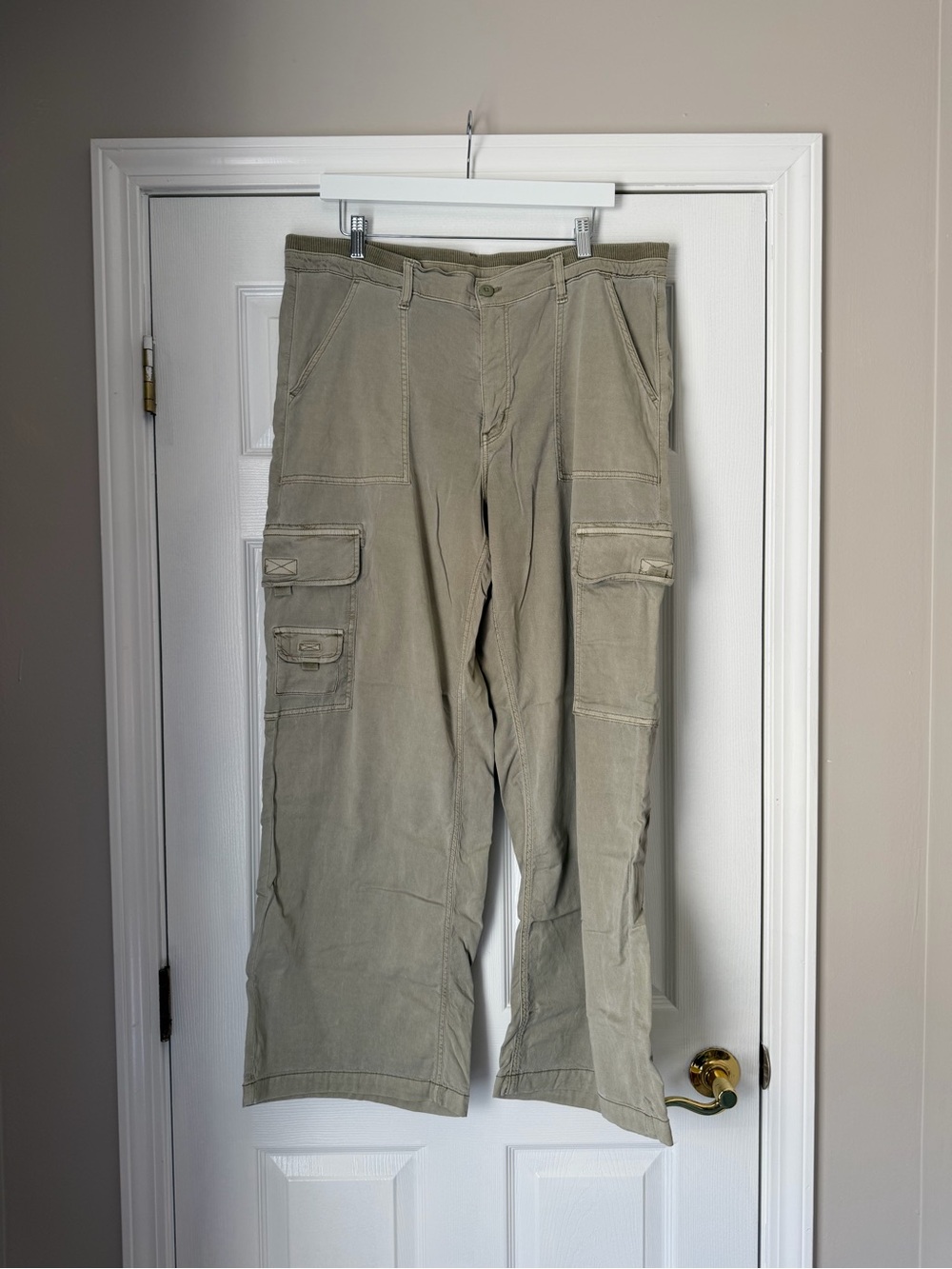American Eagle Outfitters Olive Cargo Pants